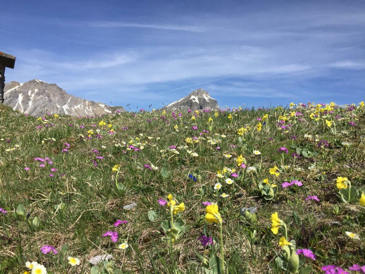 Appartement Haus Alpenrose *