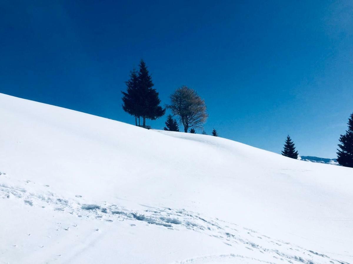 Haus Alpenrose Appartement *