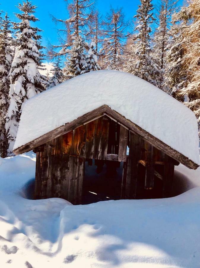 Appartement Haus Alpenrose